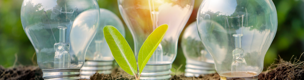 Zarządzanie środowiskowe