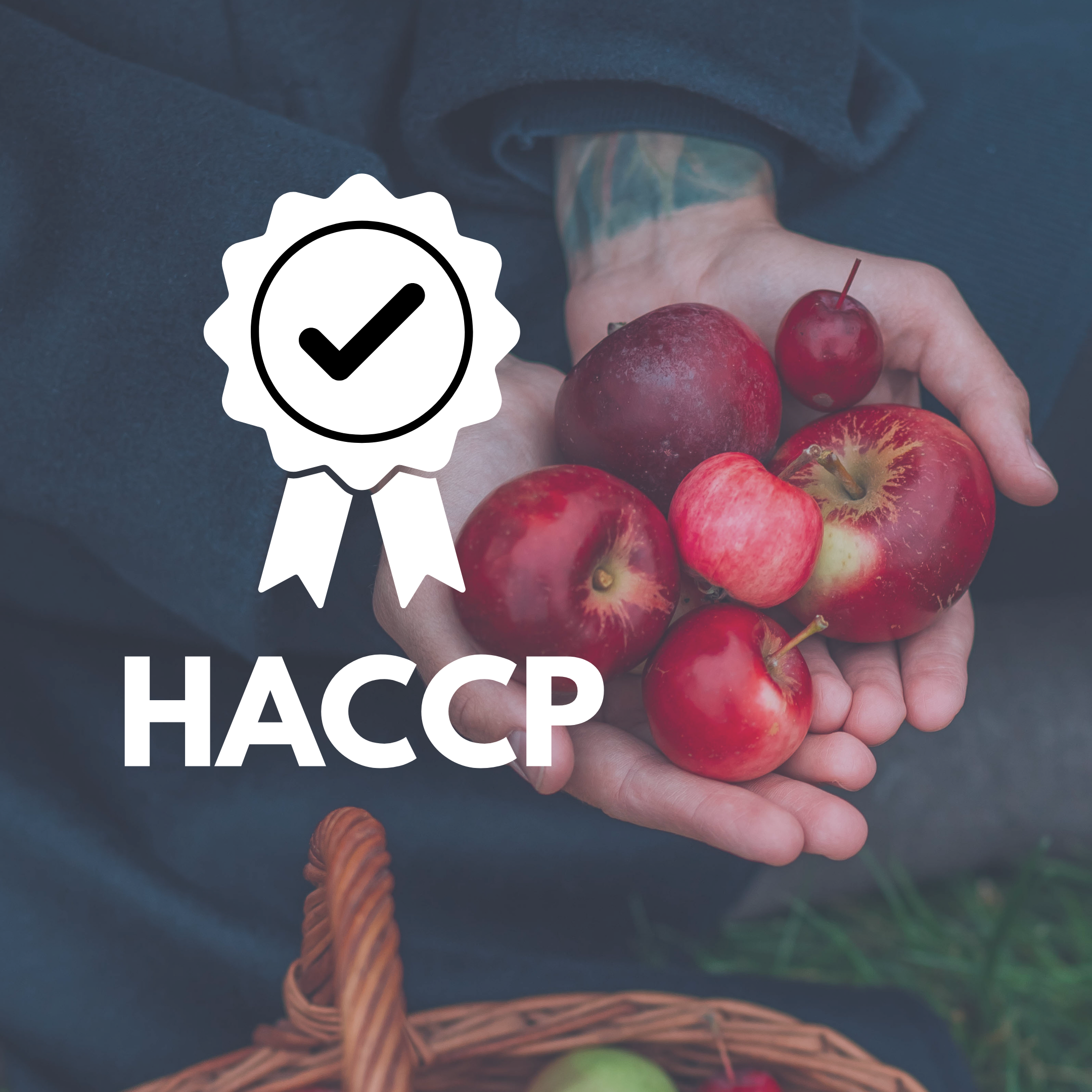 Szkolenia z zakresu HACCP